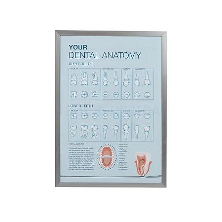 Dental Poster  Generic